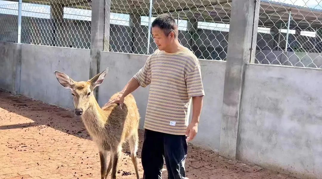 奔驰在线qq